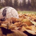 Bola futebol