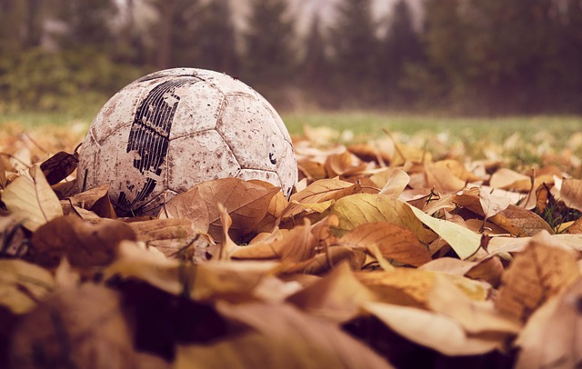 Bola futebol
